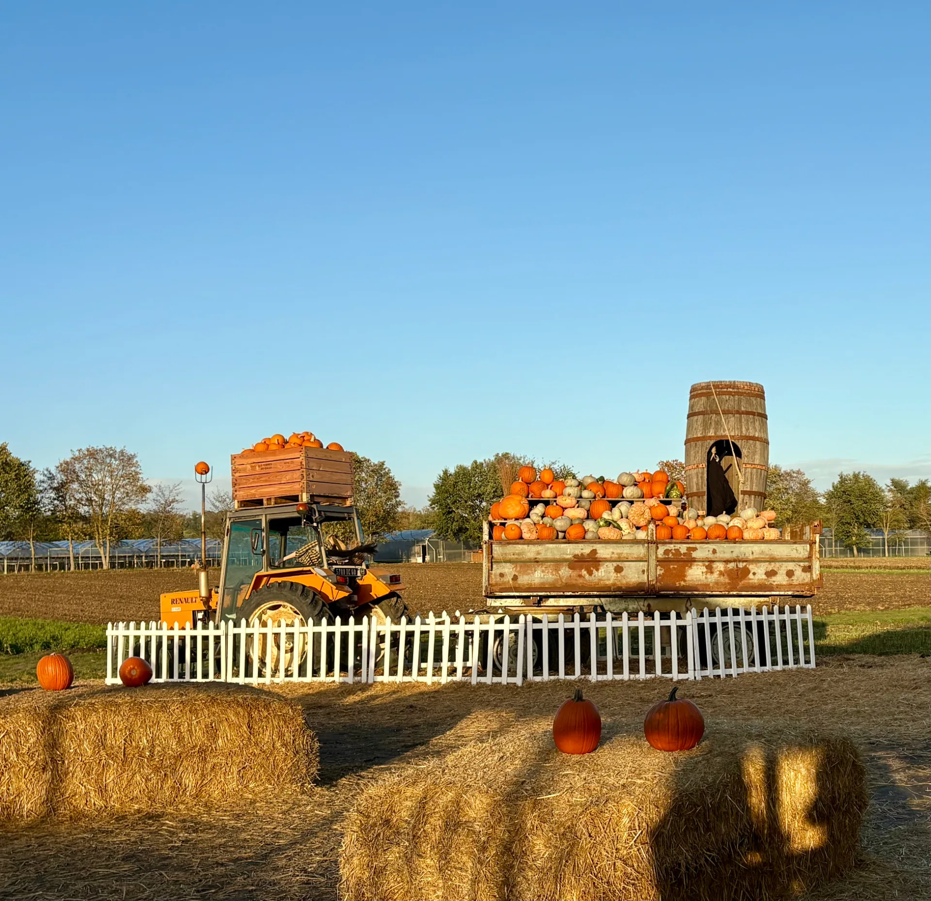 Ferme de Gally, огород по-версальски