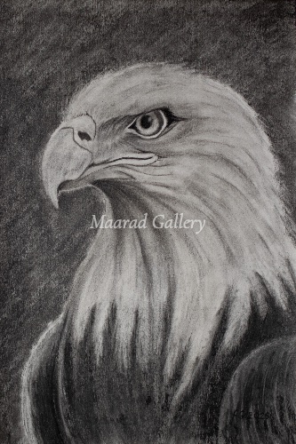 Silent Vigil – Bald Eagle in Charcoal