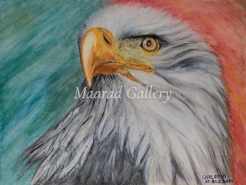 Bald Eagle Watercolor Portrait