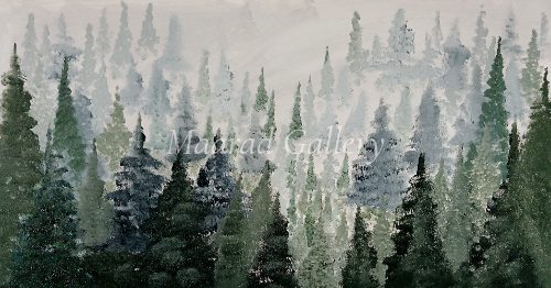 Forest mountain