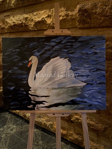 The Swan’s Reflection