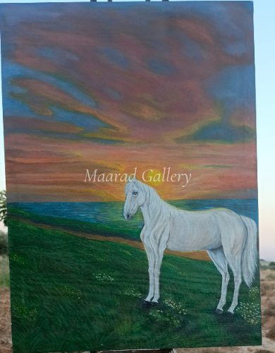 Along the Sunset Path