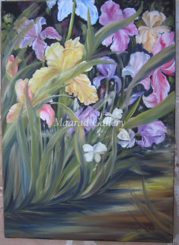 The Iris garden