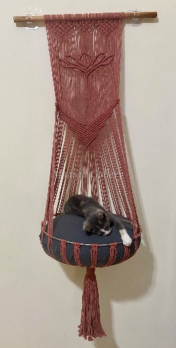 pet paradise swing