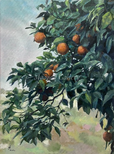 Mediterranean Orange Tree