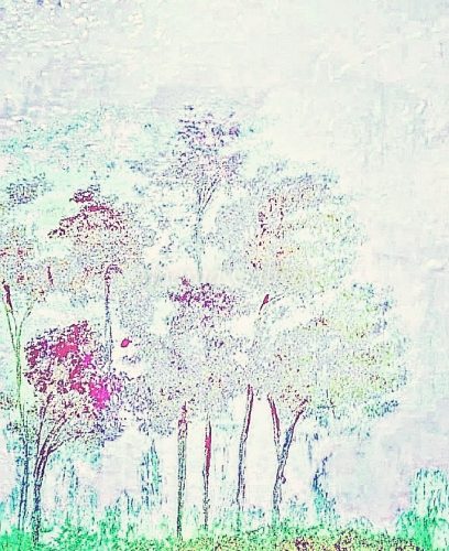 Fog