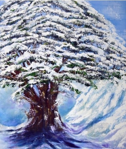 Snow ceder