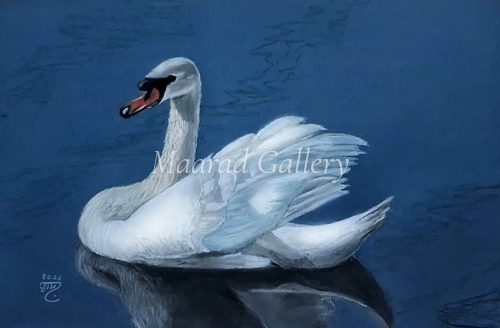 Swan