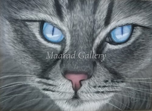 Blue eyes