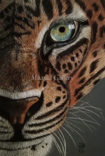 Eye of the leopard