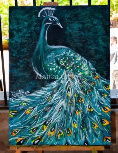The pride of the peacock is the glory of god 🦚