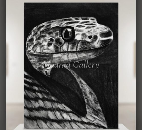 Charcoal Reptile Head Study