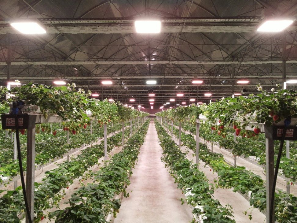 -Zülâl Özdemir-  Ziraat Mühendisi Yatırım&Proje Danışmanı galeri fotoğrafı 1