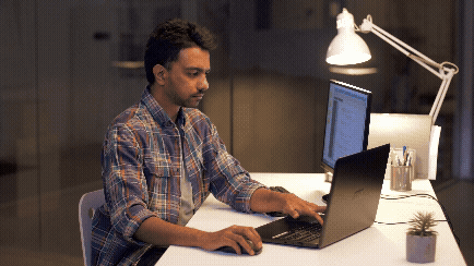 The Developer