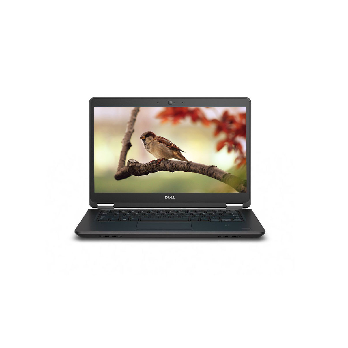 DELL 7450 - Image 1