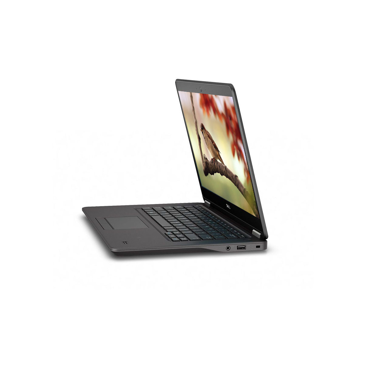 DELL 7450 thumbnail 2