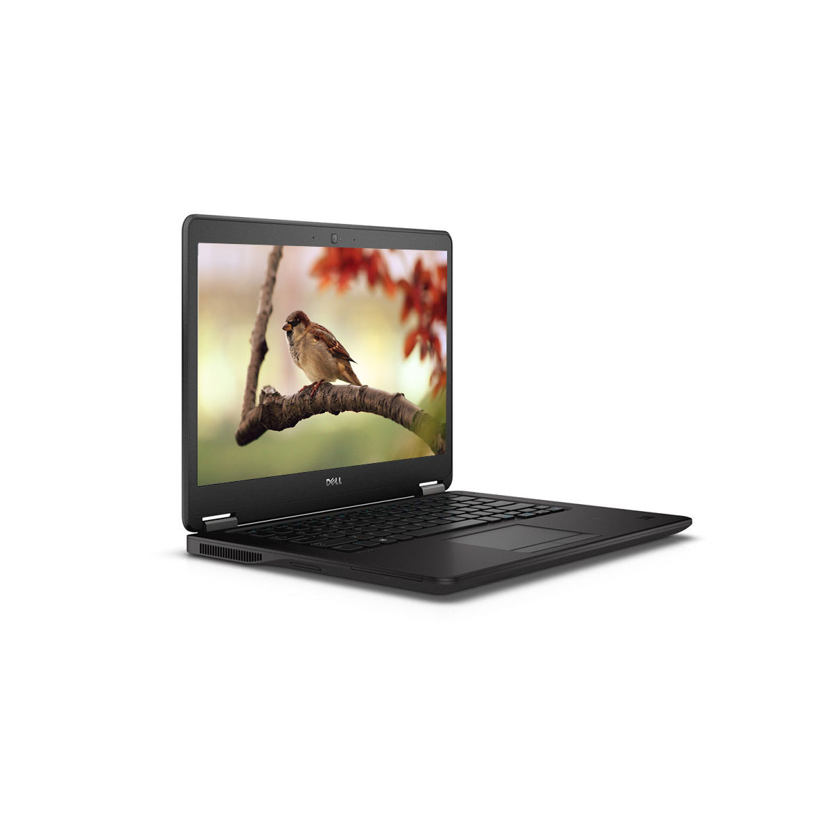 DELL 7450 thumbnail 3