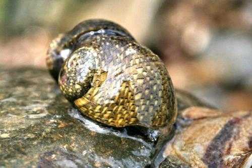 생물분류기사(동물)-곤충x무척추동물