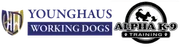 Younghaus Working Dogs - Alpha K-9 Training image 2
