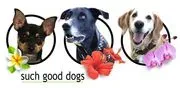 Such Good Dogs image 2