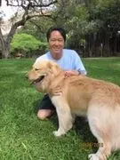 Dog Training Honolulu logo