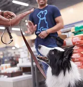 Petco Dog Training & Puppy Training Classes Kaneohe image 1