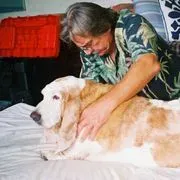 Dr. Ihor Basko, DVM Holistic Vet image 3