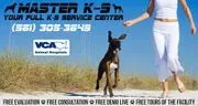 Master K9 Dog Training logo