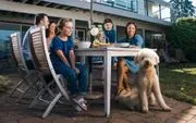 Dog Guard image 2