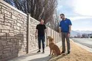 Dog Training Elite Sarasota image 3