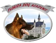 Florida Dog Academy image 2