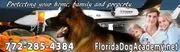 Florida Dog Academy image 3
