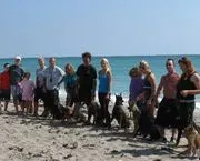 Florida Dog Academy image 4