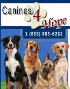 Canines 4 Hope logo