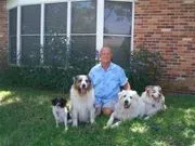 Will Thomas Dog Whisperer image 2