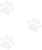 Clark Road Animal Clinic image 3