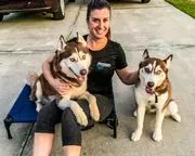 Off Leash K9 Training of Sarasota logo