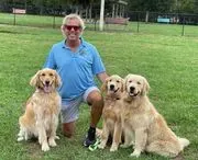 John Walton Dog Training image 2
