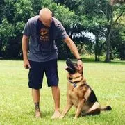 LoveDog Inc image 2