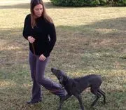 Tripp's Dog Training St. Pete logo