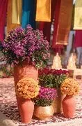 Weddings by Shubharambh logo