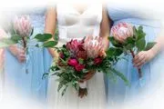 Island Bliss Weddings logo