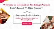 Destination Weddingz Planner logo