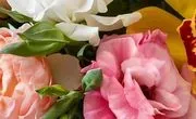 Trias Flowers & Gifts logo