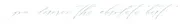 Blue Ribbon Weddings logo
