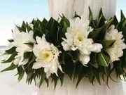 Jacksonville Wedding Planner logo