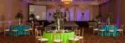 Elegant Weddings by Lisa image 2