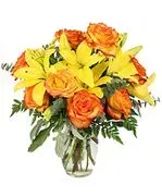 Blooms Of Blountstown logo