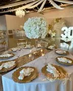 The Elegant Designs Experience image 2