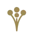 Savannah Wedding Dreams logo